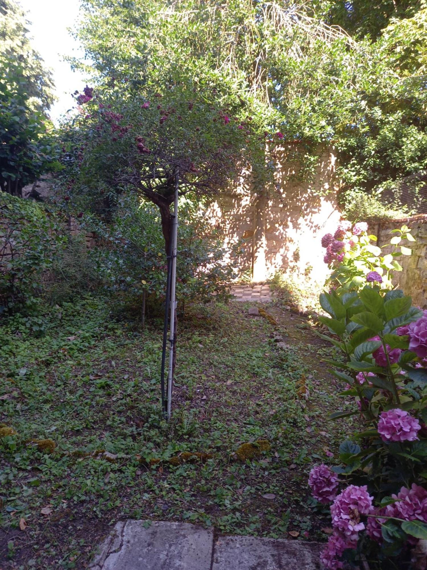 낭시 La Teranga De Kadi & Cathy, Avec Jardin Privatif 아파트 외부 사진