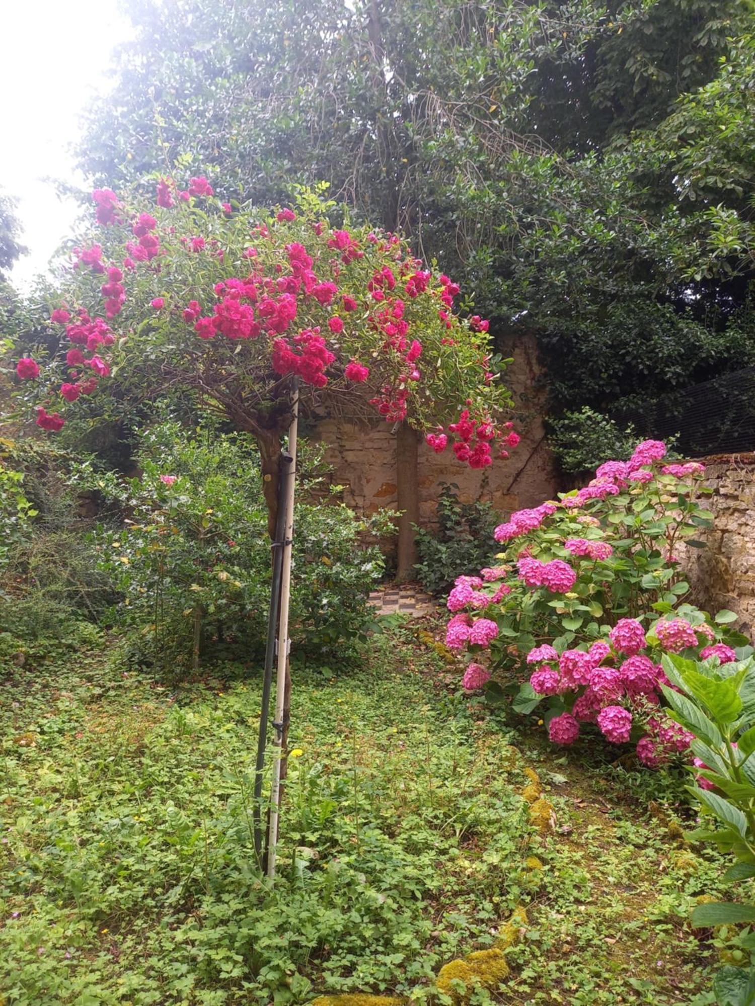 낭시 La Teranga De Kadi & Cathy, Avec Jardin Privatif 아파트 외부 사진